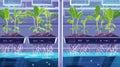 Smart Hydroponic Farming with Digital Interface Royalty Free Stock Photo