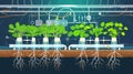 Hydroponic System with Fresh Green Plants Royalty Free Stock Photo