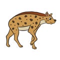 Illustration of hyena standing