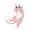 Illustration of i solated cute pink cat, strange funny pose.