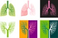 Illustration or icons of healthy human lungs. Flat design