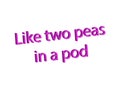 Illustration idiom write like two peas in a pod isolated in a white background Royalty Free Stock Photo