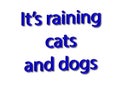 Illustration idiom write it`s raining cats and dogs isolated in