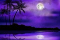 Illustration of tropical beach at night Royalty Free Stock Photo