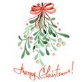 Illustration (image) of a Christmas watercolor mistletoe Royalty Free Stock Photo