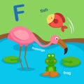 Illustration Isolated Alphabet Letter F-fish,flamingo,frog Royalty Free Stock Photo