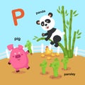 Illustration Isolated Alphabet Letter P-panda,parsley,pig