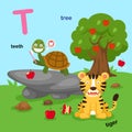 Illustration Isolated Alphabet Letter T-teeth,tiger,tree