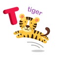 Illustration Isolated Alphabet Letter T tiger