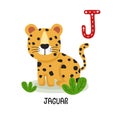 Animal Alphabet Letter J-Jaguar
