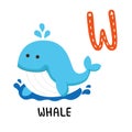 Animal Alphabet Letter W-Whale Royalty Free Stock Photo