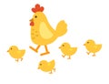 Illustration of isolated chicken on white background