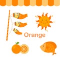 Illustration of isolated color orange group