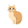 Illustration of isolated cute happy sitting orange cat