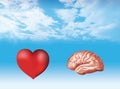 Illustration with isolated 3d brain and 3d heart on nubes background