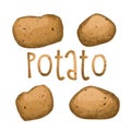 Illustration Of Isolated Potatoes On White Background