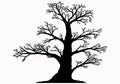 Illustration of an isolated silhouette of a large branchy tree. sprawling old oak