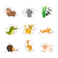 Illustration of isolation vocabulary part of body wild animals set