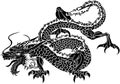 Illustration Japanese dragon Royalty Free Stock Photo