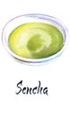 Illustration of Japanese tea, Sencha tea Royalty Free Stock Photo