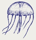 Illustration Jellyfish Royalty Free Stock Photo