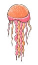 Illustration with jellyfish. Bright jellyfish on a white background. Decorative stylization, hand-drawn with markers. Royalty Free Stock Photo