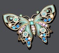 jewelry brooch butterfly with precious stones Royalty Free Stock Photo