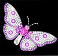 jewelry brooch butterfly with precious stones Royalty Free Stock Photo