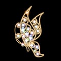 jewelry brooch butterfly with precious stones Royalty Free Stock Photo