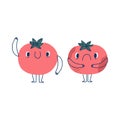 Illustration of a joyful ripe tomato and a sad rotten tomato. Expressive character with arms, legs