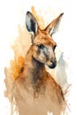 Illustration kangaroo in watercolor. Animal on a white background, generative AI