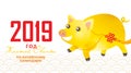 Illustration of kawaii pig, symbol of 2019 on the Chinese calendar.