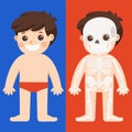 Kid body anatomy vector. Human skeleton part. Royalty Free Stock Photo