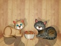 Kittens eat croquettes