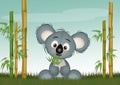 illustration of koala with eucalipto in the jungle Royalty Free Stock Photo