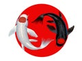 illustration of koi fish, symbol of yin and yang