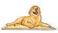 illustration of a Labrador dog lying on a mat