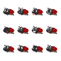 Ladybug with different facial expressions and different color