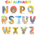Illustration with Latin alphabet part 2, from N to Z, funny cartoon cat in the form of letters