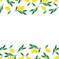 Illustration of lemons. Border