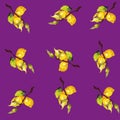 Illustration of lemons on a branch on a purple background, a pattern