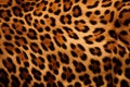 illustration of leopard fur skin texture background. Generative AI Royalty Free Stock Photo