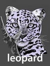 illustration of a leopard watching its prey Royalty Free Stock Photo