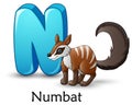 Letter N is for Numbat cartoon alphabet