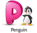 Letter P is for Penguin cartoon alphabet Royalty Free Stock Photo