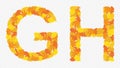 Illustration of letters G and H alphabet, autumn yellowed leaves.