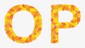 Illustration of letters O and P alphabet, autumn yellowed leaves.