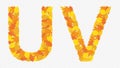 Illustration of letters U and V alphabet, autumn yellowed leaves.