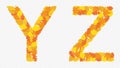 Illustration of letters Y and Z alphabet, autumn yellowed leaves