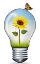 Illustration of a light bulb containing a sunflower and a ladybug. environment and green energy concept Royalty Free Stock Photo